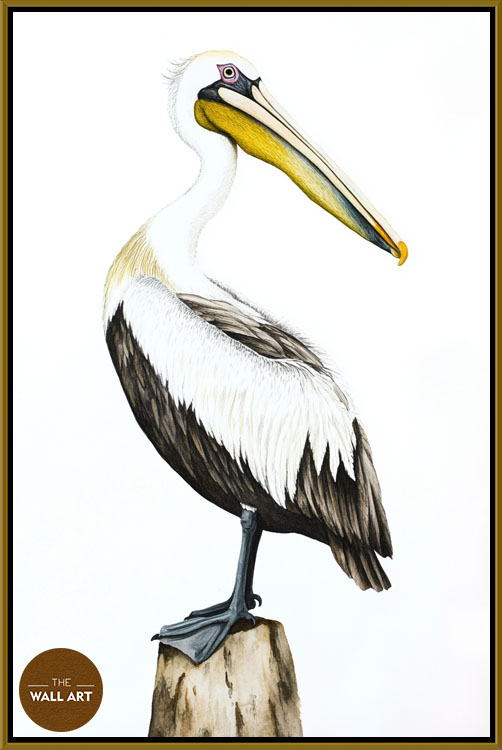images/products/yellow_beack_pelican/yellow_beack pelican_GOLD.jpg